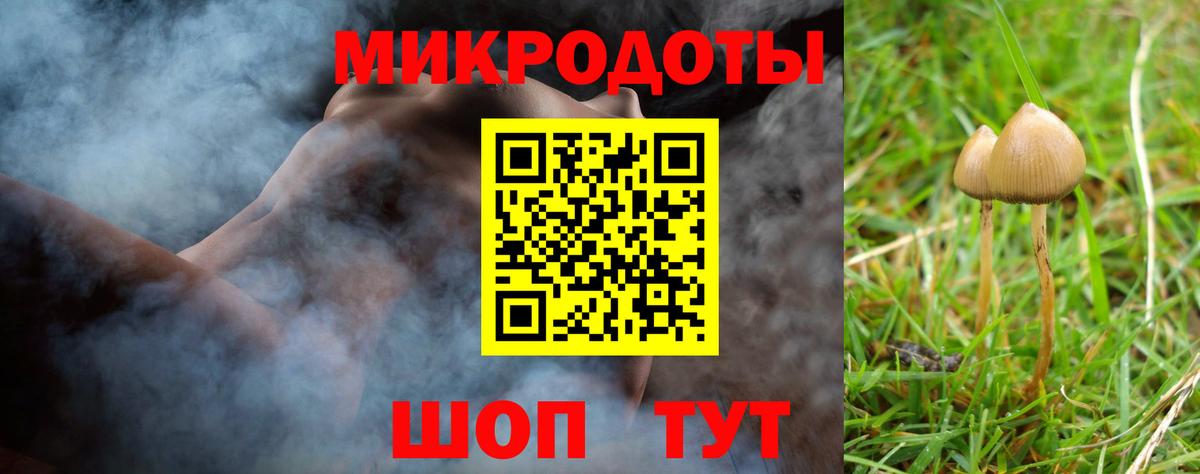 Димитровград  Псилоцибиновые грибы GOLDEN TEACHER  Вход с VPN 